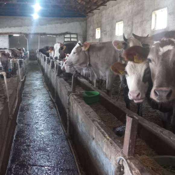 Adsız tasarım - 2025-06-04T153428.375