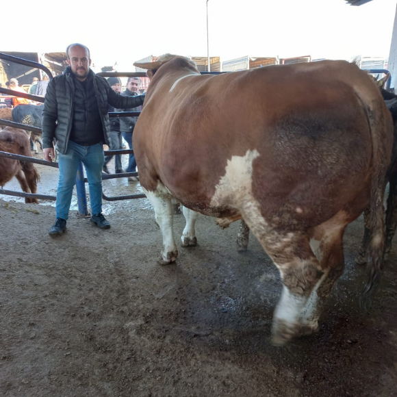 Adsız tasarım - 2025-06-04T153711.156